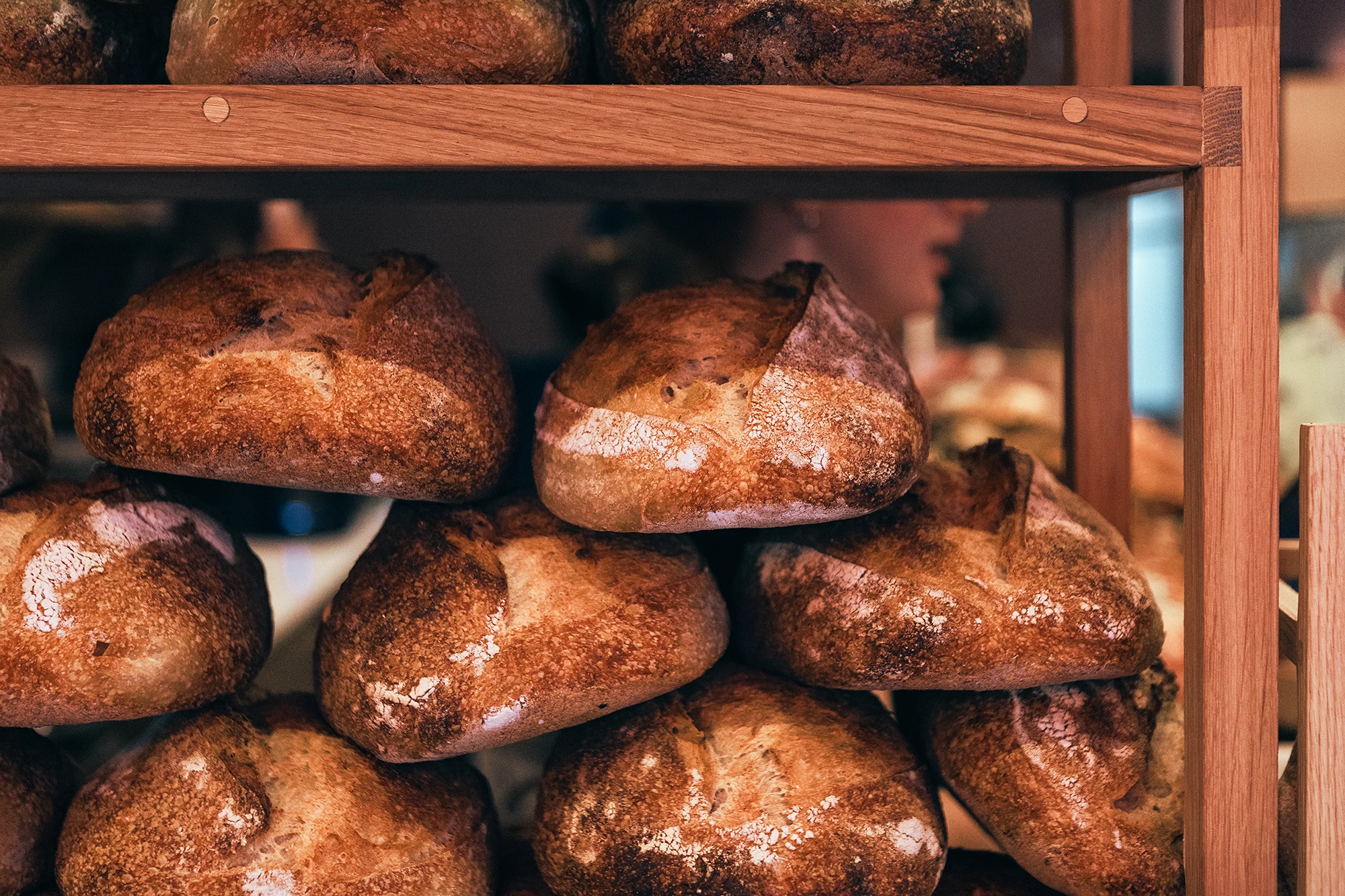 WHO ARE | THE ||| GOOD | NEIGHBOURHOOD